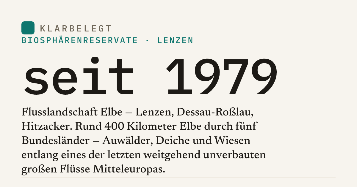 Vorschau der Share-Card