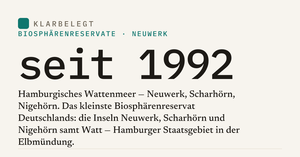 Vorschau der Share-Card