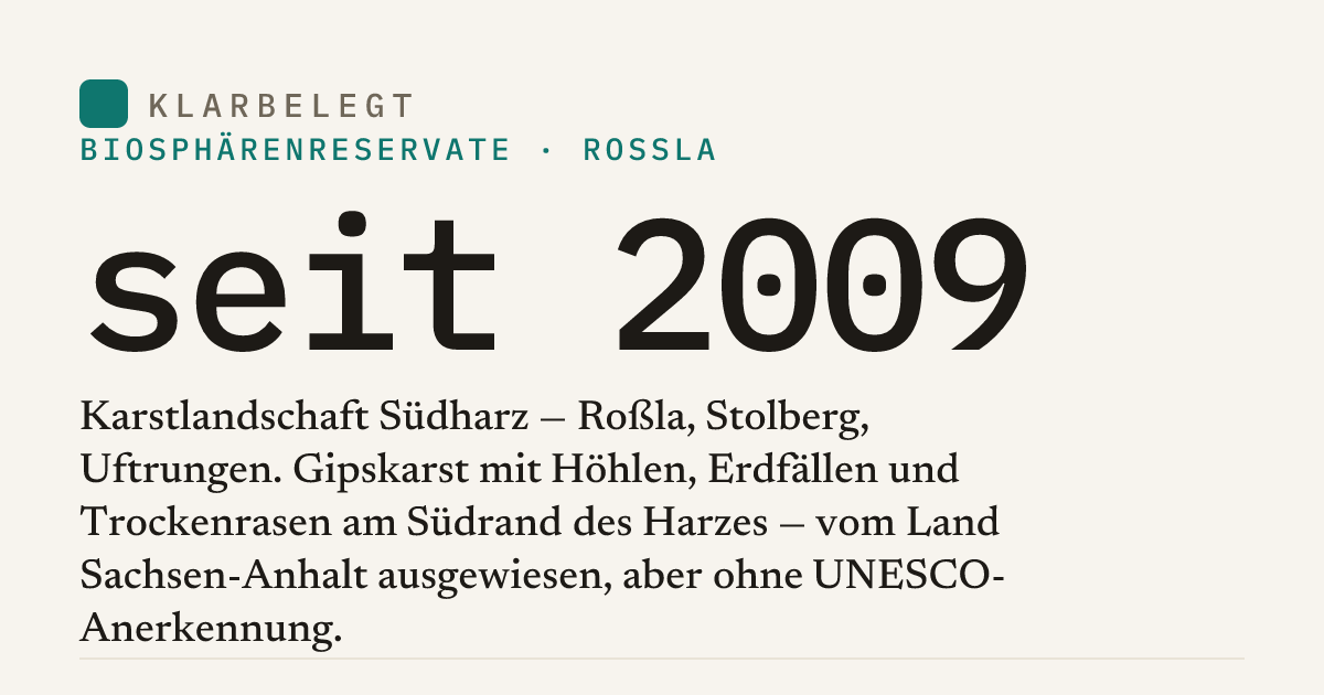 Vorschau der Share-Card