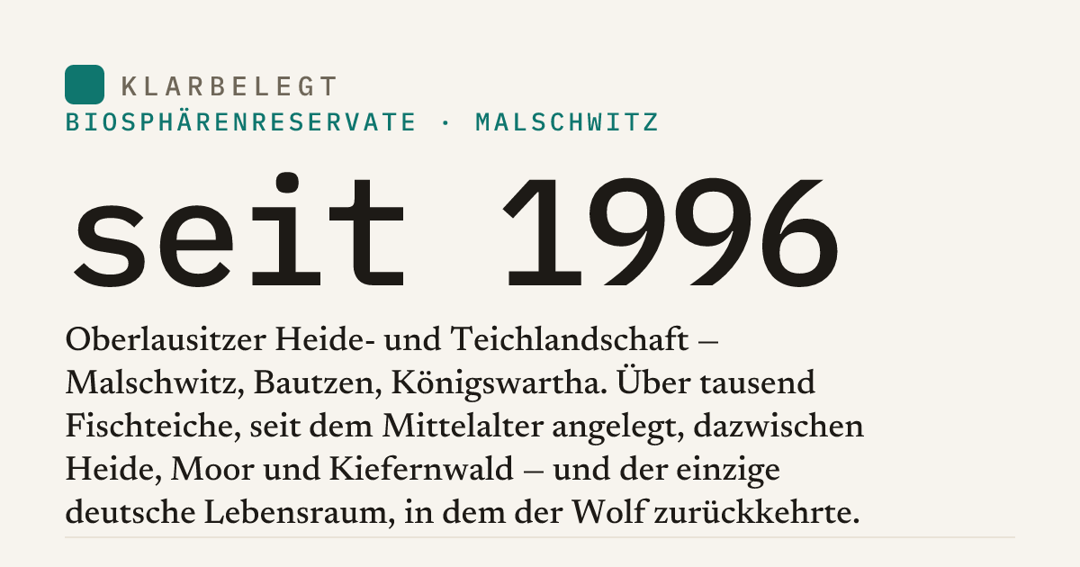 Vorschau der Share-Card