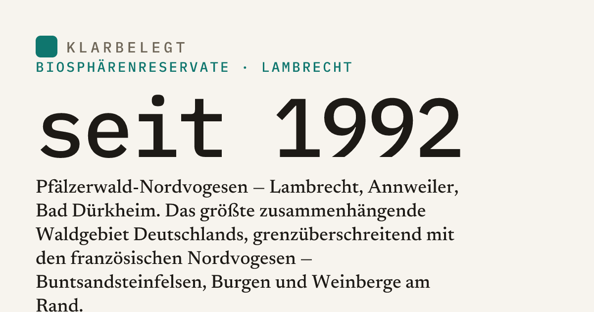 Vorschau der Share-Card