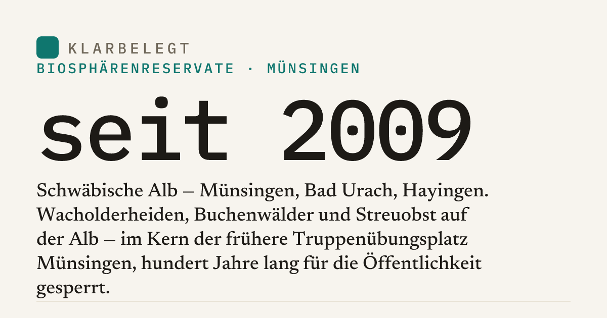 Vorschau der Share-Card