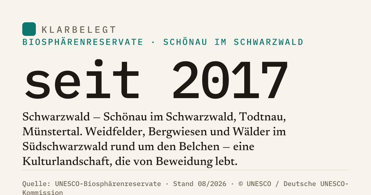Vorschau der Share-Card