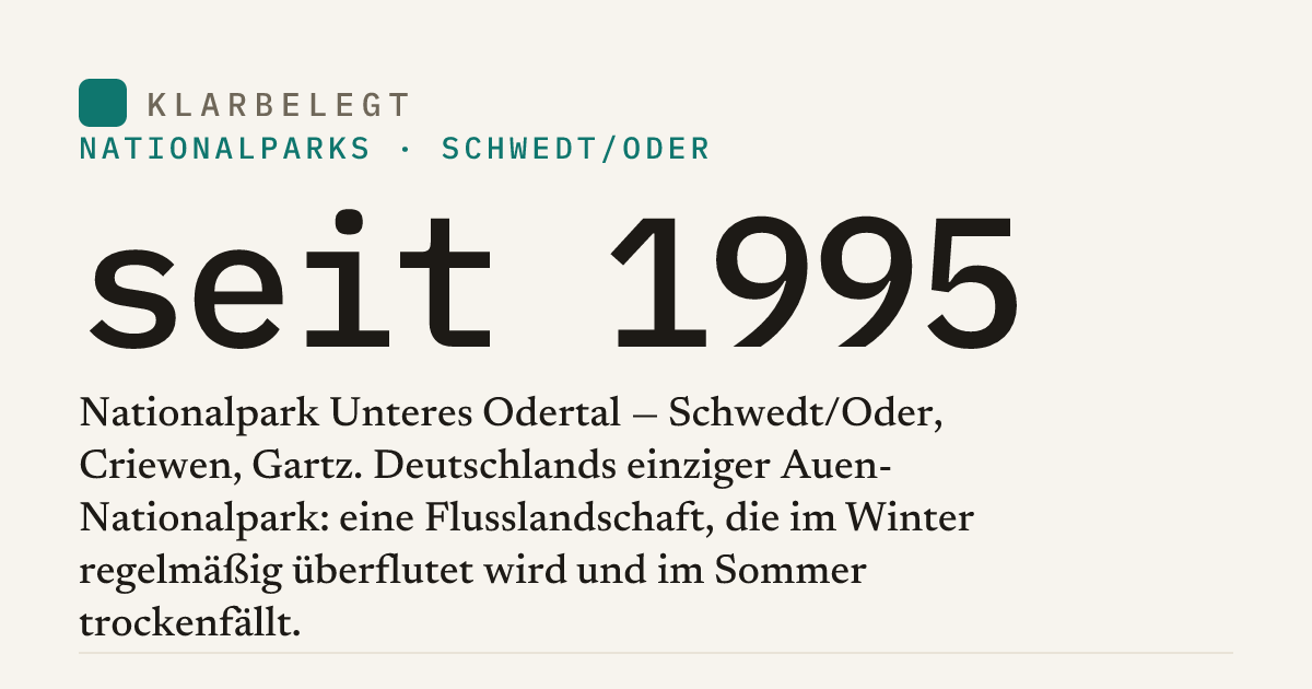 Vorschau der Share-Card