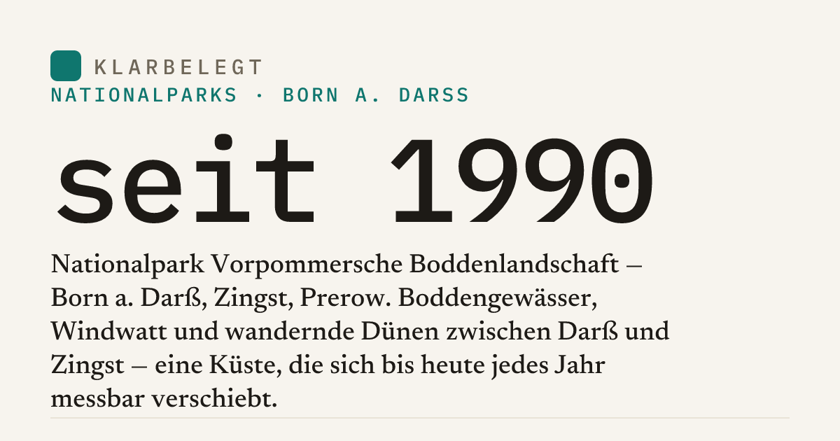 Vorschau der Share-Card