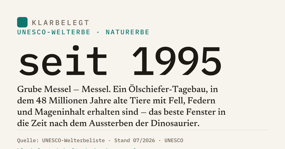 Vorschau der Share-Card